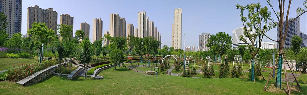 武汉市汉广小森林公园景观建设工程