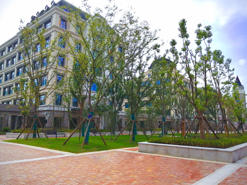 合肥新华公学景观、雨污水工程