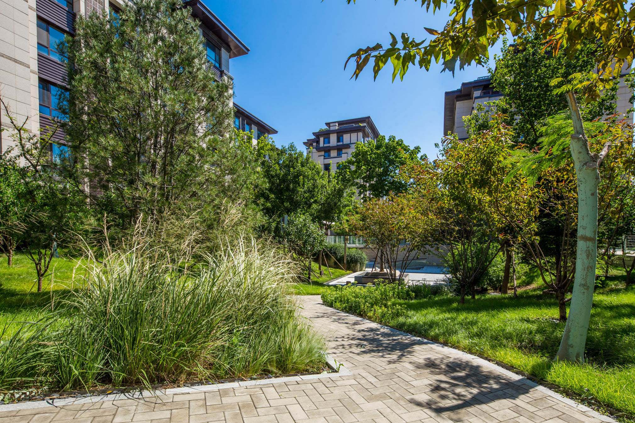 北京城建国誉府景观设计-理工大学2号地