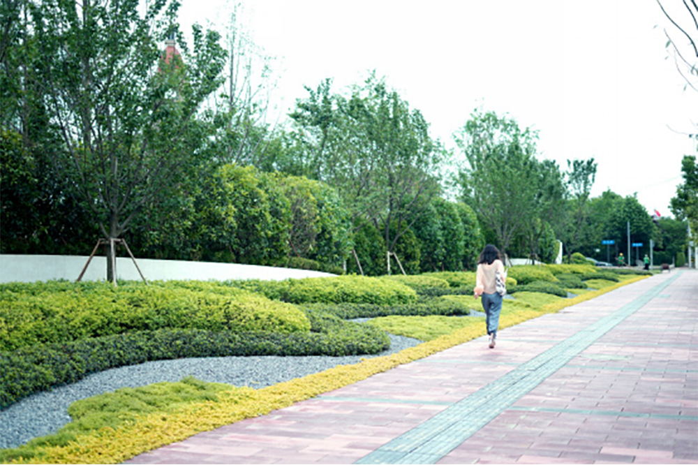 花样年江山展示区O2 PARK 氧气公园