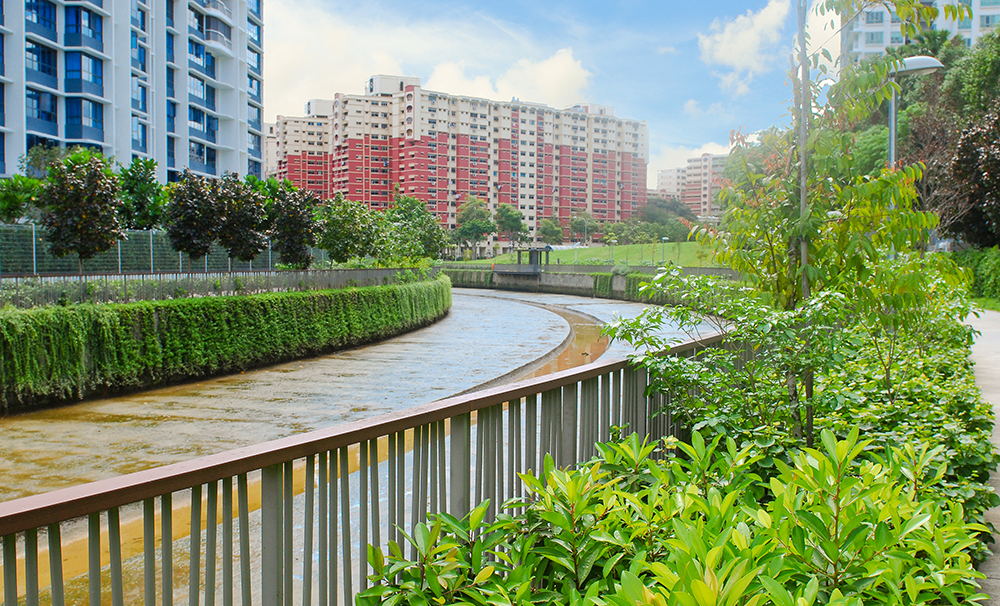 Sungei Api Api &amp; Sungei Tampines