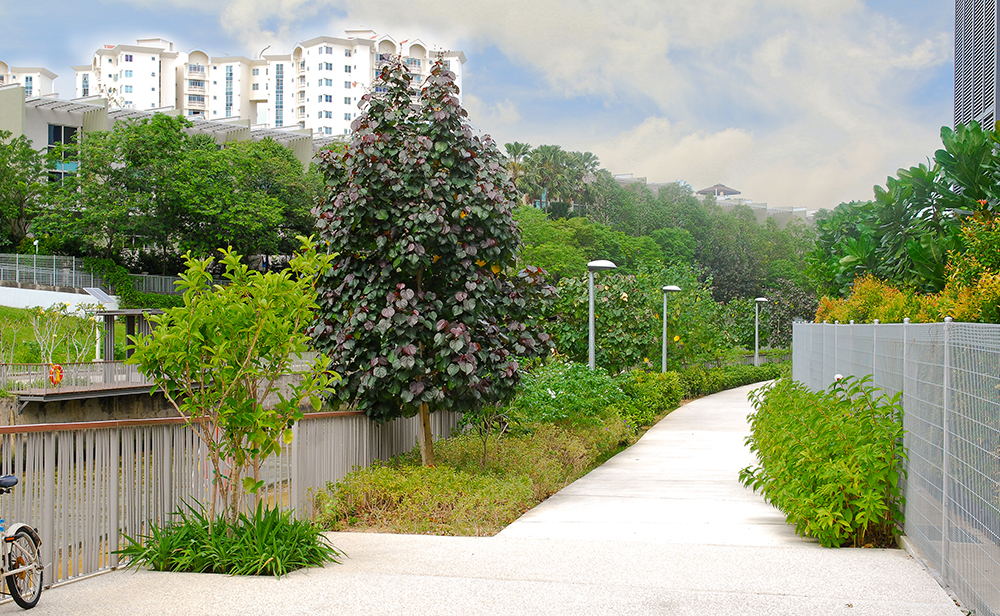 Sungei Api Api &amp; Sungei Tampines