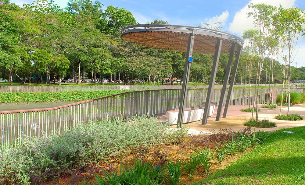 Sungei Api Api &amp; Sungei Tampines