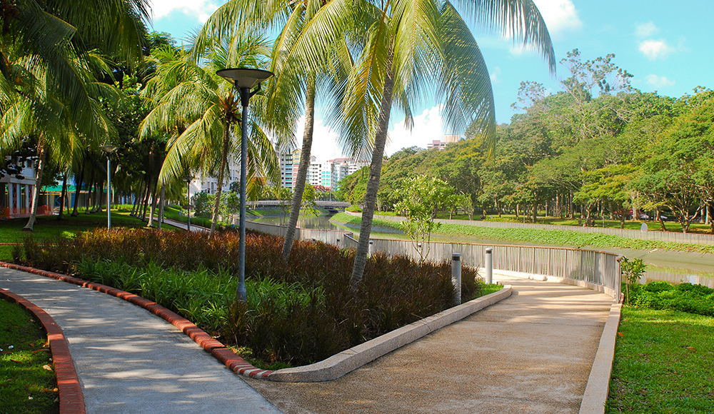 Sungei Api Api &amp; Sungei Tampines
