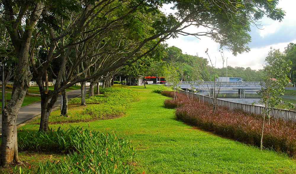 Sungei Api Api &amp; Sungei Tampines