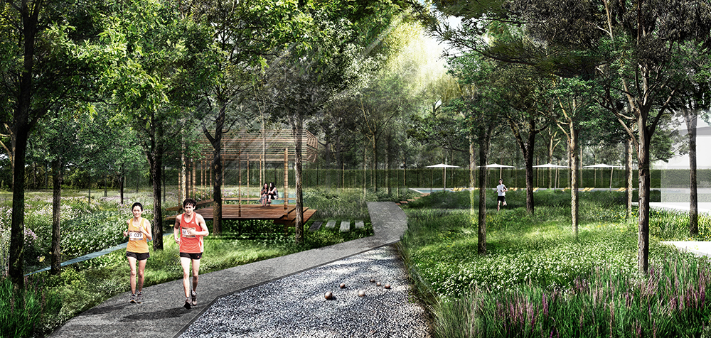 Mulberry Grove Condominium