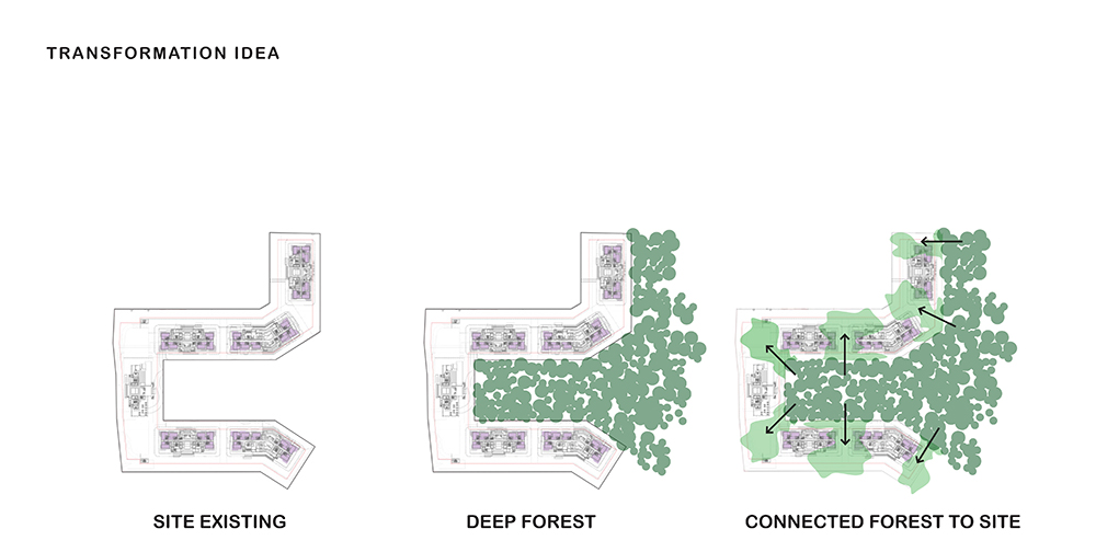 Mulberry Grove Condominium