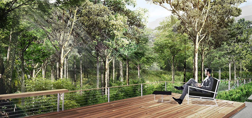 Mulberry Grove Condominium