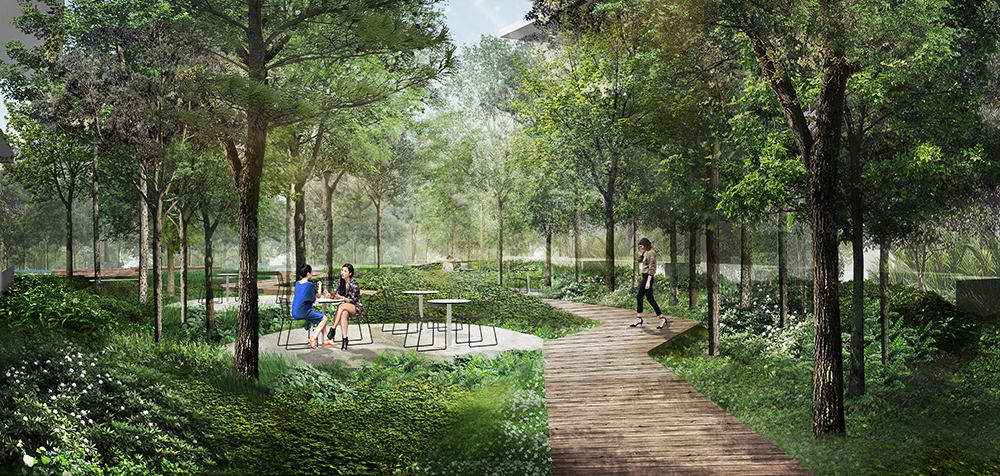 Mulberry Grove Condominium