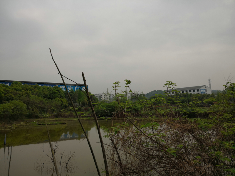 山乡巨变第一村 — 清溪村提质改造工程景观设计