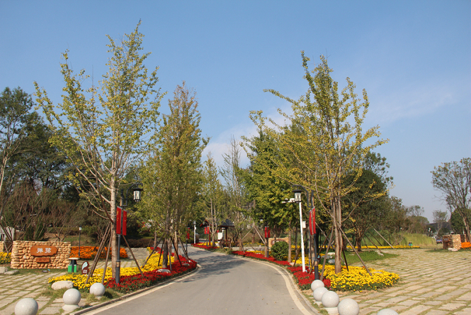 山乡巨变第一村 — 清溪村提质改造工程景观设计