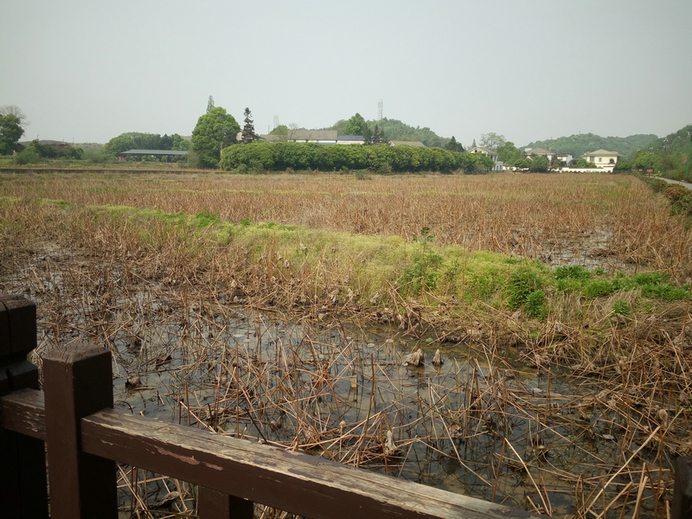 山乡巨变第一村 — 清溪村提质改造工程景观设计