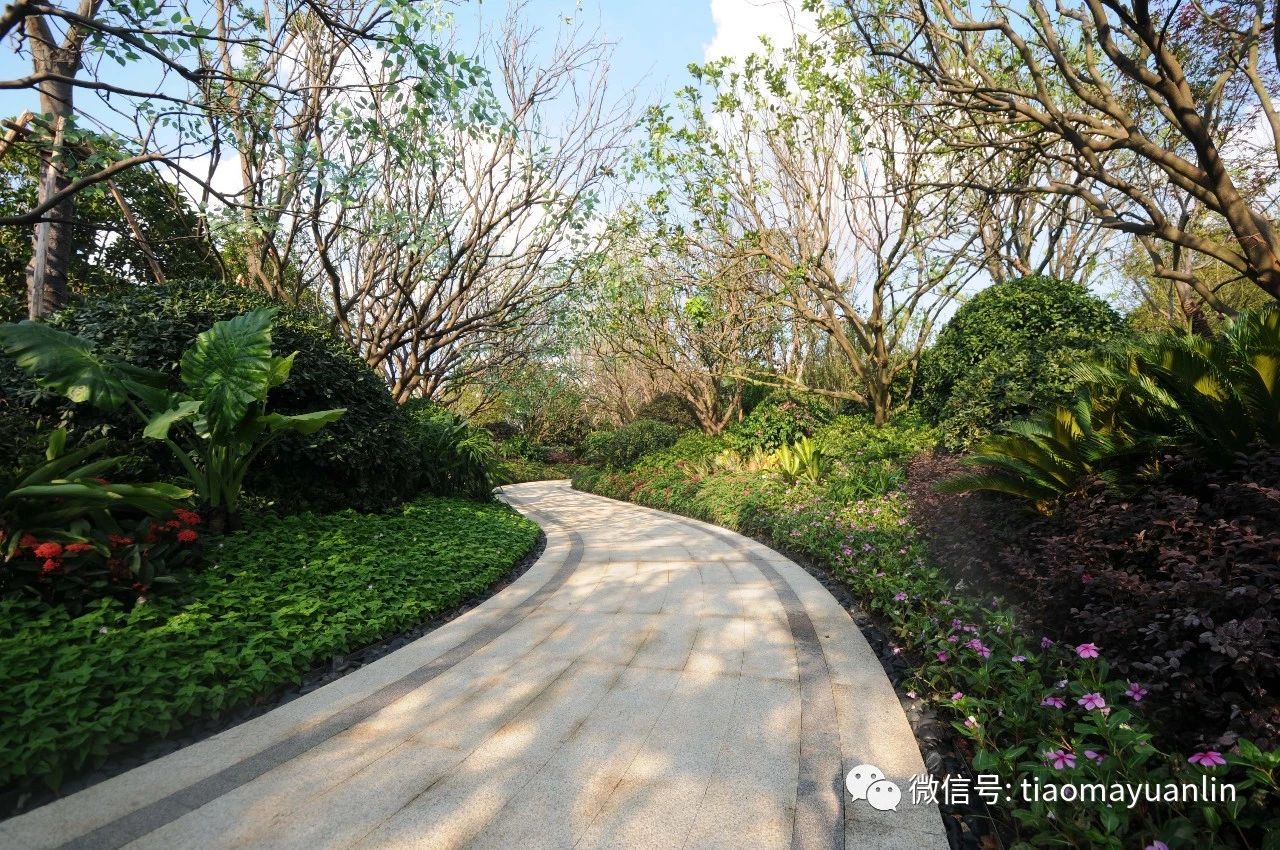 跳马园林-南昌九龙湖金茂悦