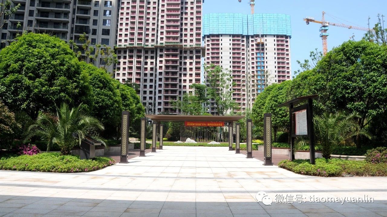 跳马园林-长沙•金茂湾首期（F21地块）大区景观