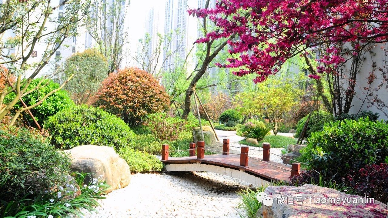 跳马园林-长沙•金茂湾首期（F21地块）大区景观