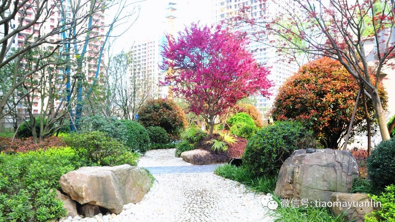 跳马园林-长沙•金茂湾首期（F21地块）大区景观