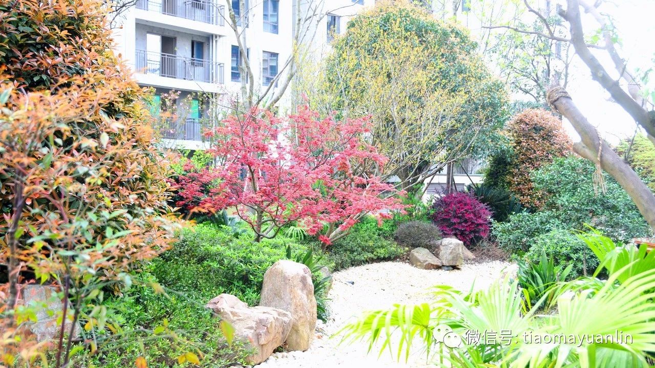 跳马园林-长沙•金茂湾首期（F21地块）大区景观