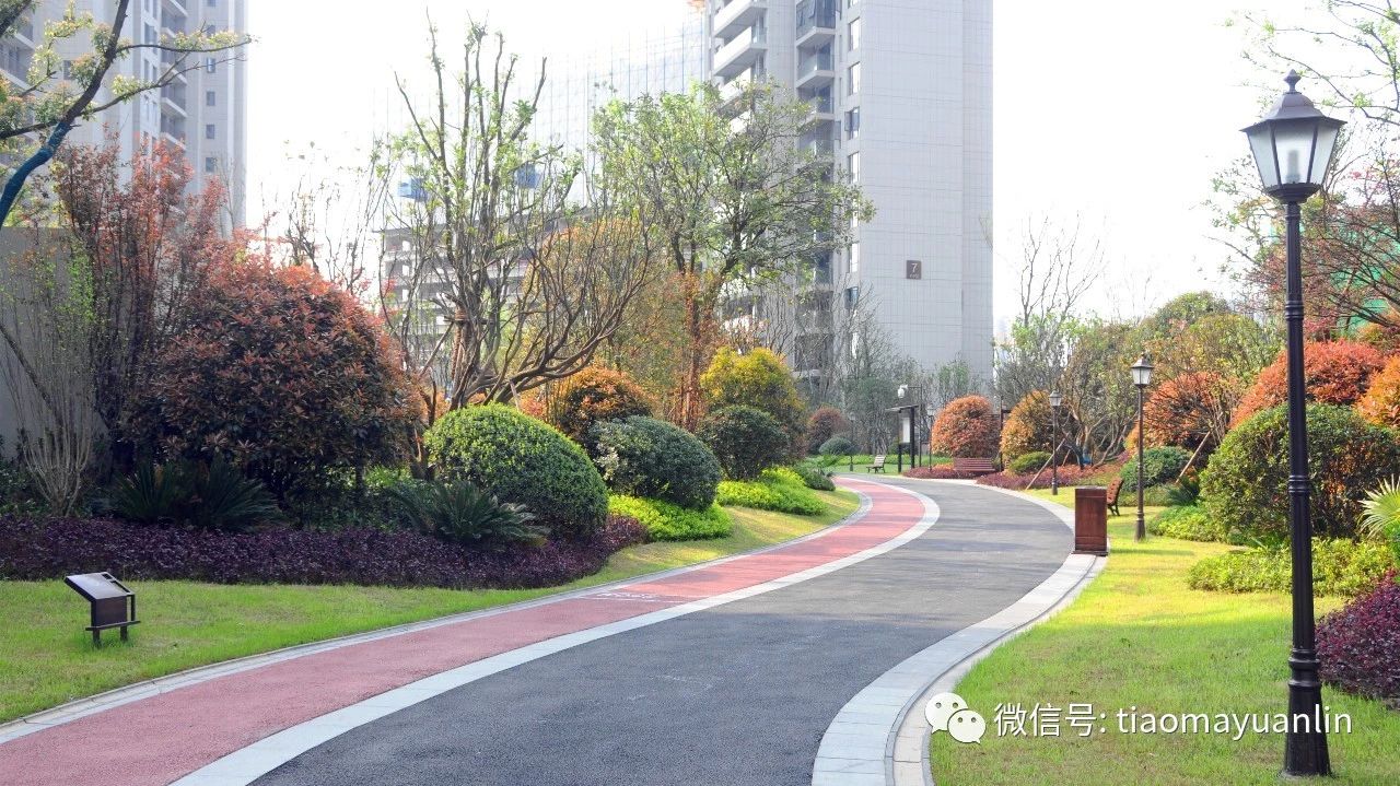 跳马园林-长沙•金茂湾首期（F21地块）大区景观
