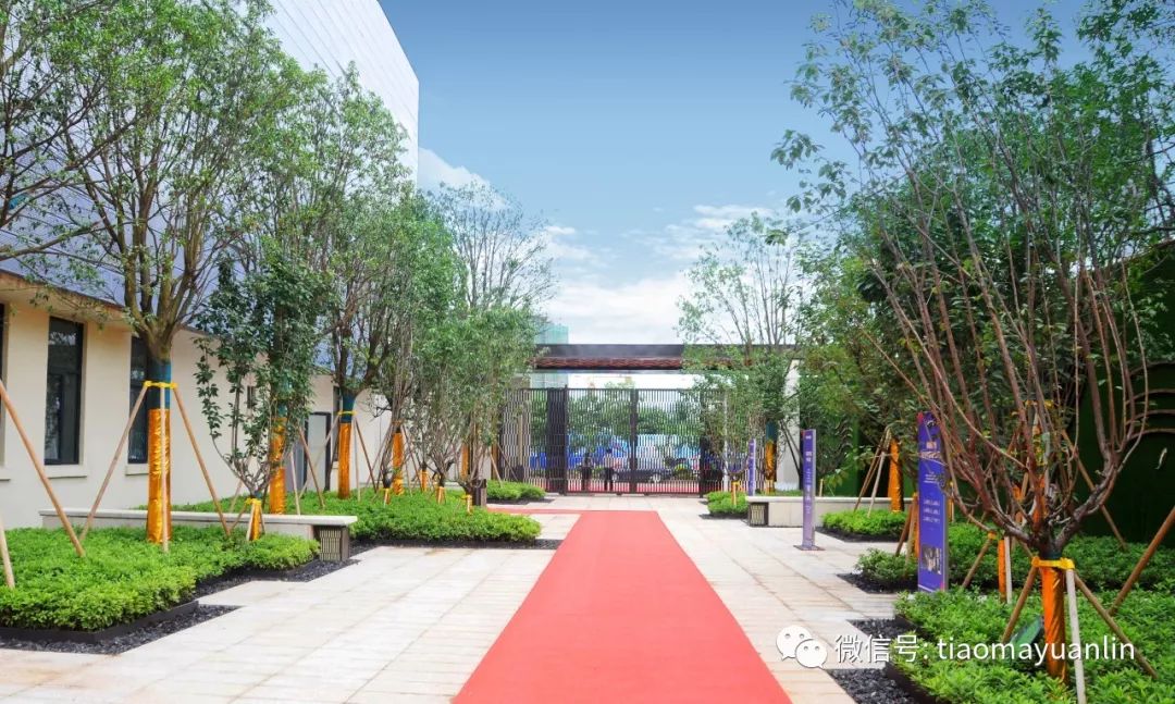 跳马园林-长沙华远碧桂园海蓝城示范区