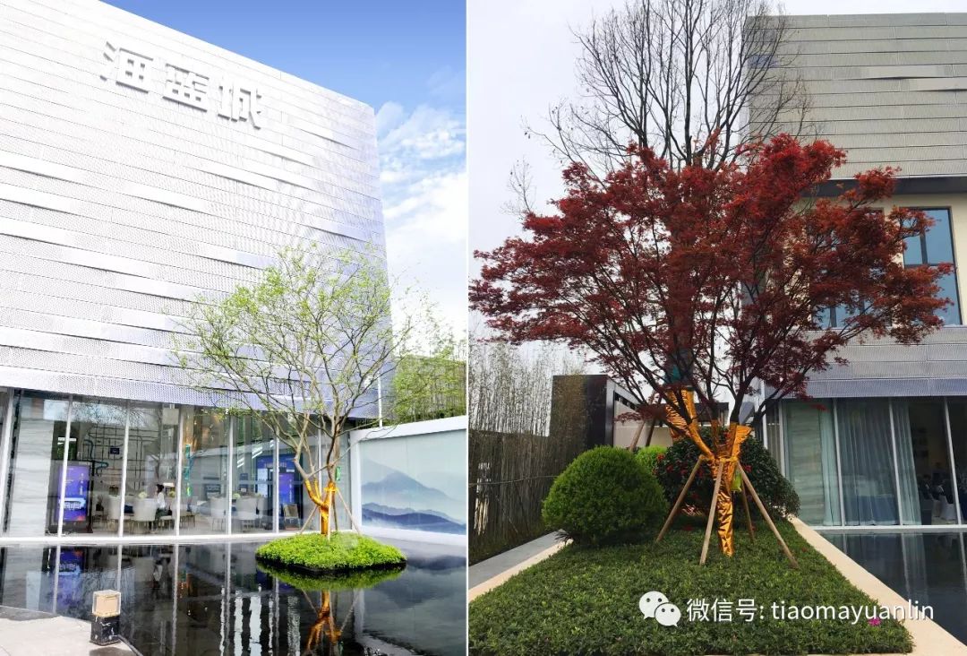 跳马园林-长沙华远碧桂园海蓝城示范区