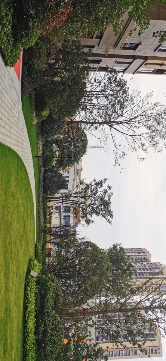 跳马园林-龙湖璟宸原著三期C区景观工程