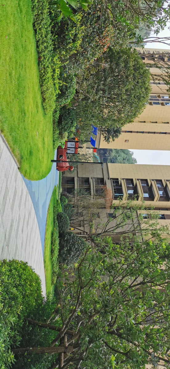 跳马园林-龙湖璟宸原著三期C区景观工程