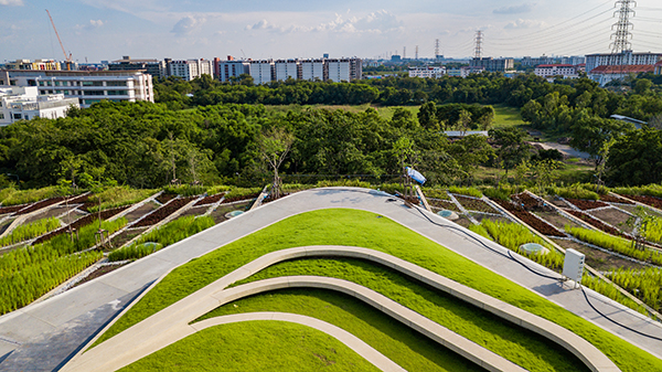 LANDPROCESS | 泰国国立法政城市屋顶农场