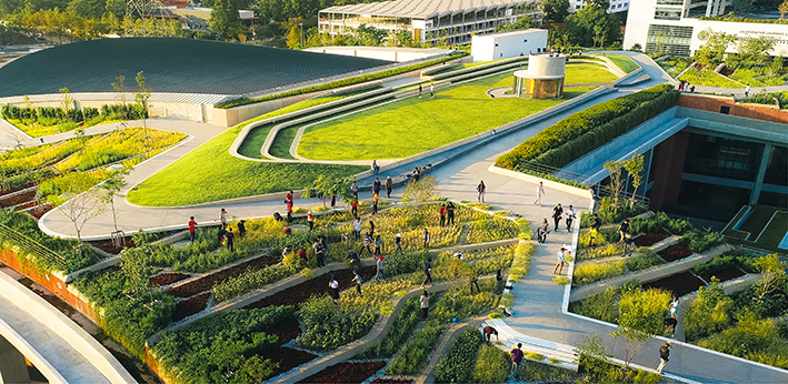 LANDPROCESS | 泰国国立法政城市屋顶农场