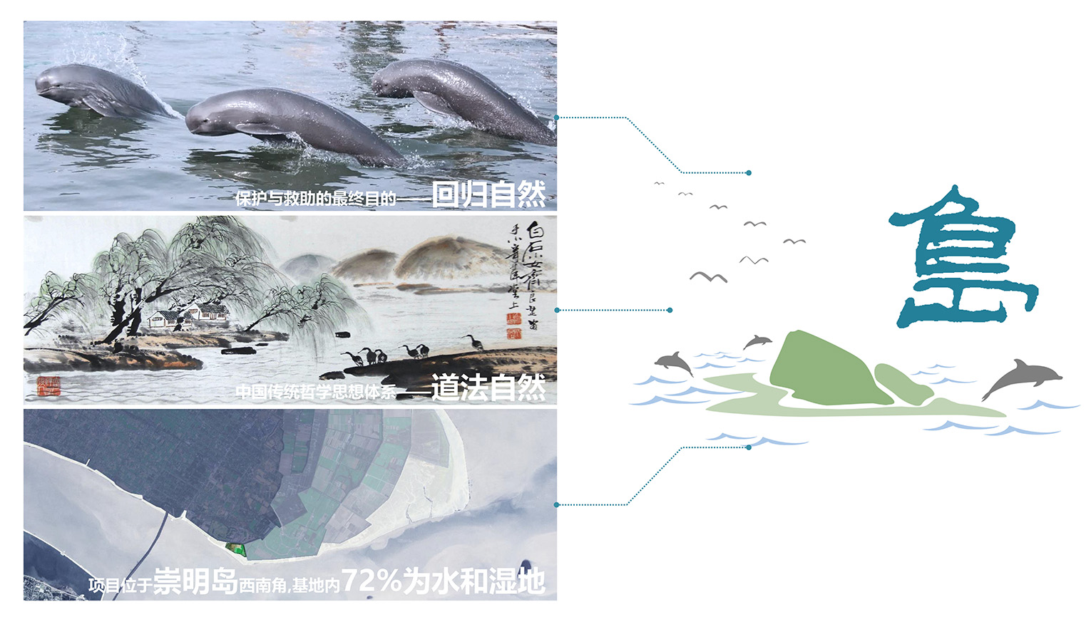 长江口中华鲟自然保护区基地二期