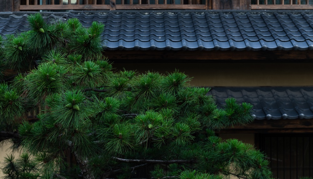 太白山·唐镇