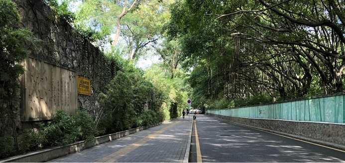香蜜湖街道“一路一街”综合改造建设工程（设计）