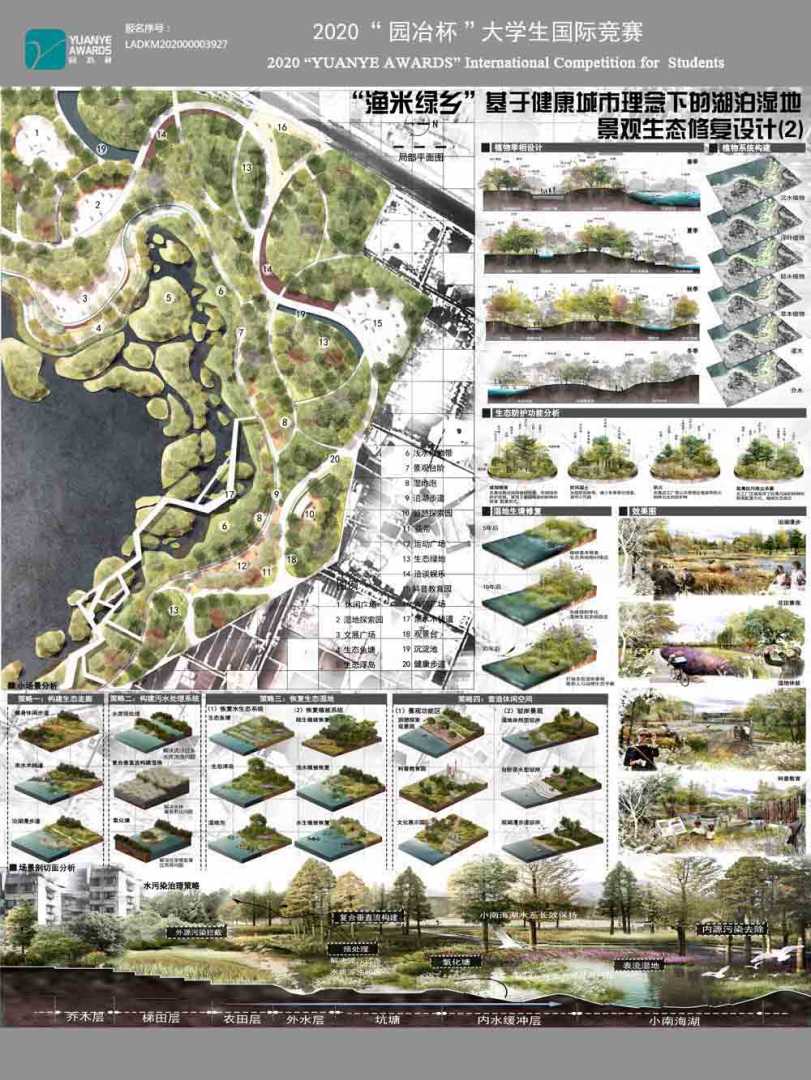渔米绿乡——基于健康城市理念下的湖泊湿地景观生态修复设计
