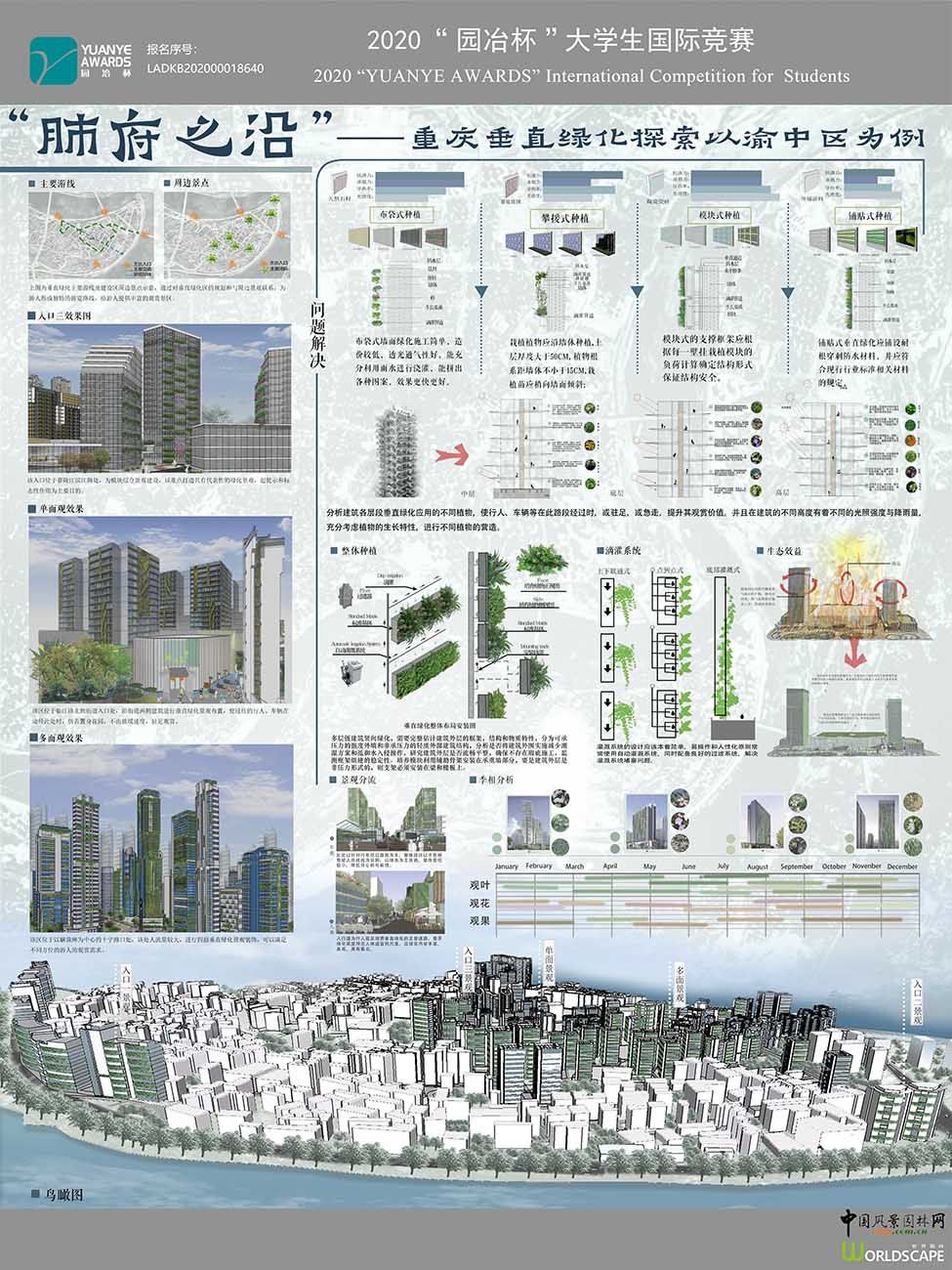 肺府之沿——重庆垂直绿化探索以渝中区为例