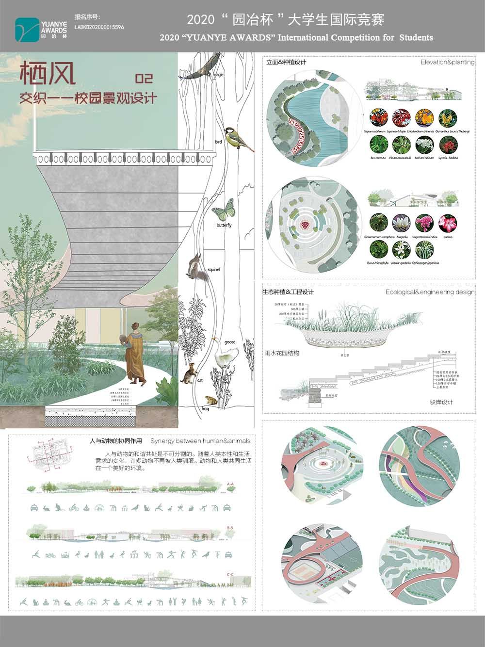 栖风——校园景观设计