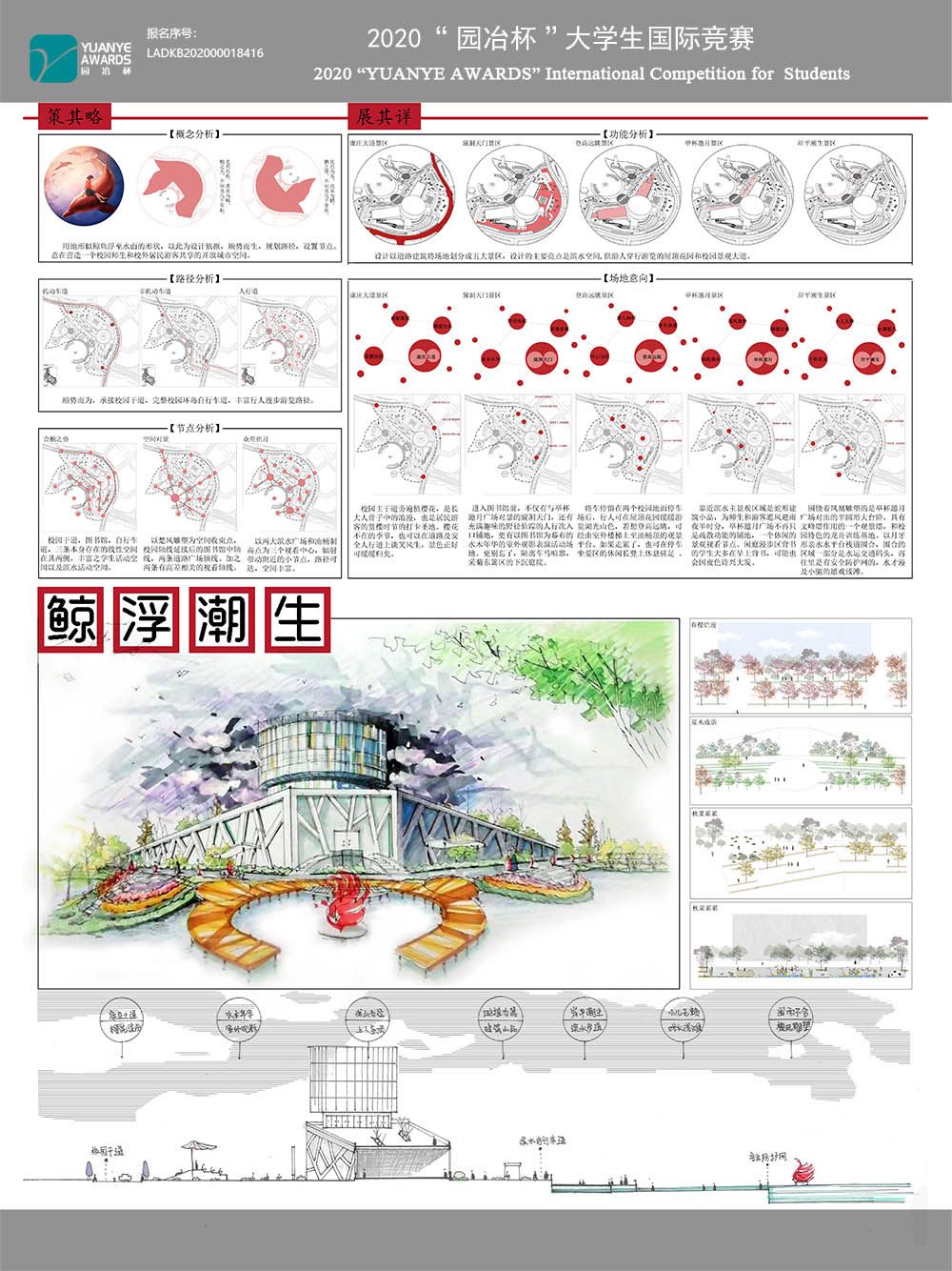 鲸浮潮生——顺势而为校园滨水城市空间设计