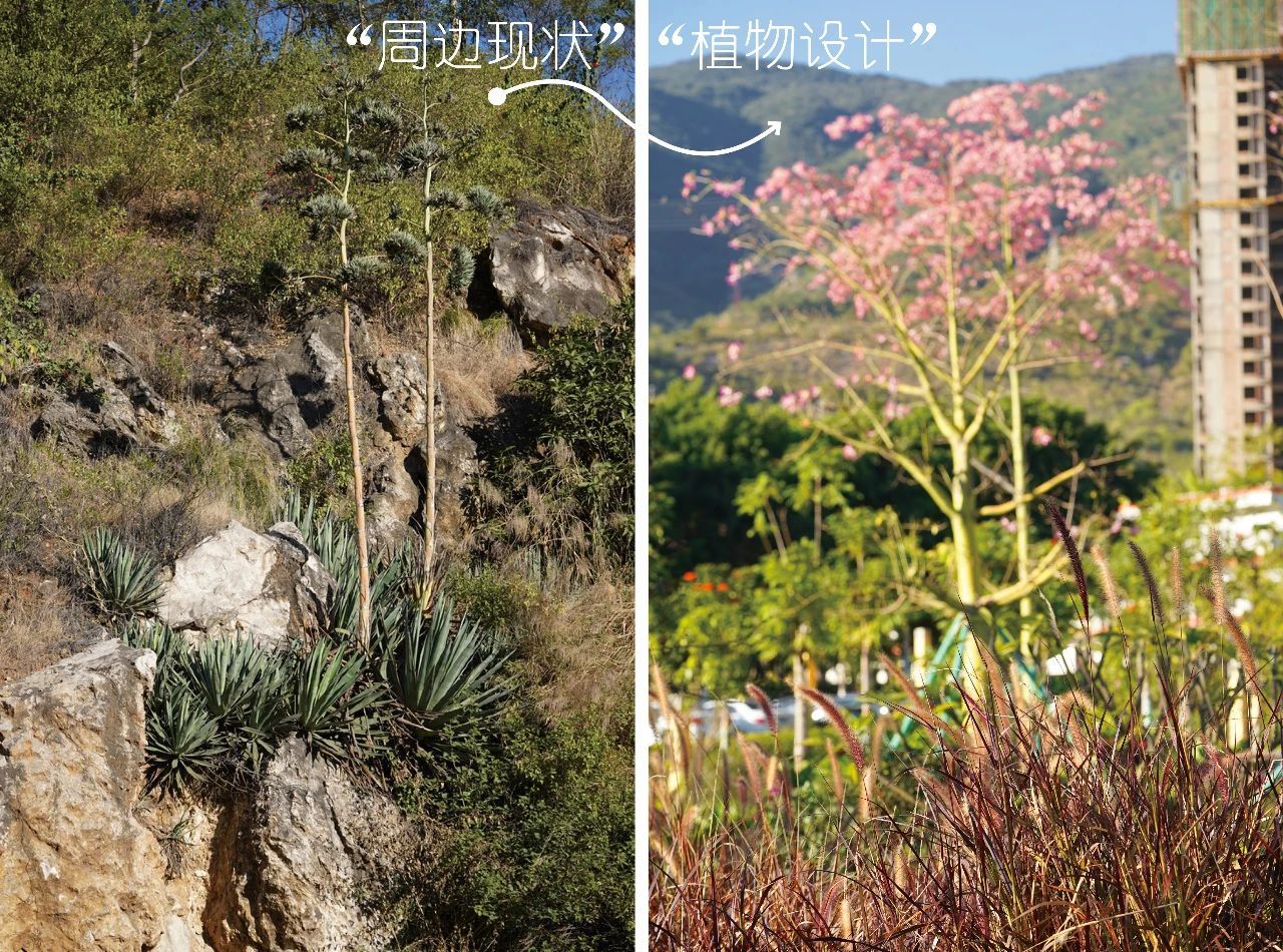 攀枝花中央公园