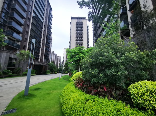 福州阳光城檀府项目高层及别墅景观绿化工程