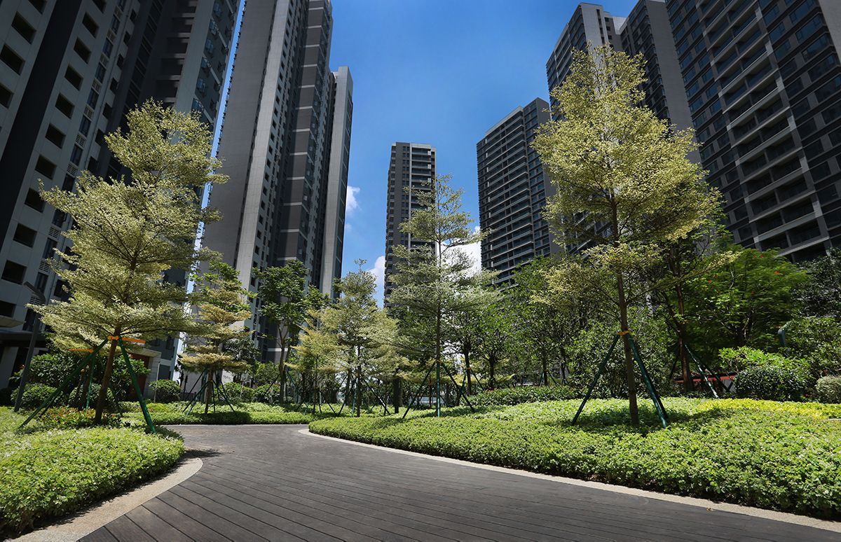 电建地产·泛澋公馆项目园林景观绿化工程