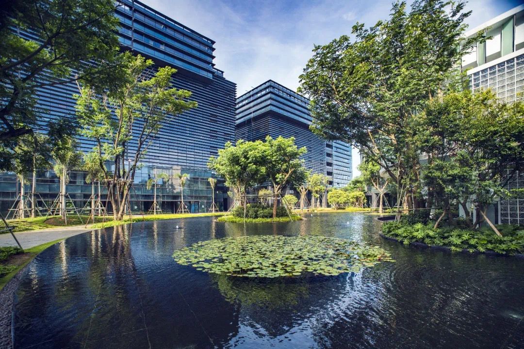 海南生态智慧新城城镇化建设项目-腾讯生态村项目DE组团景观工程