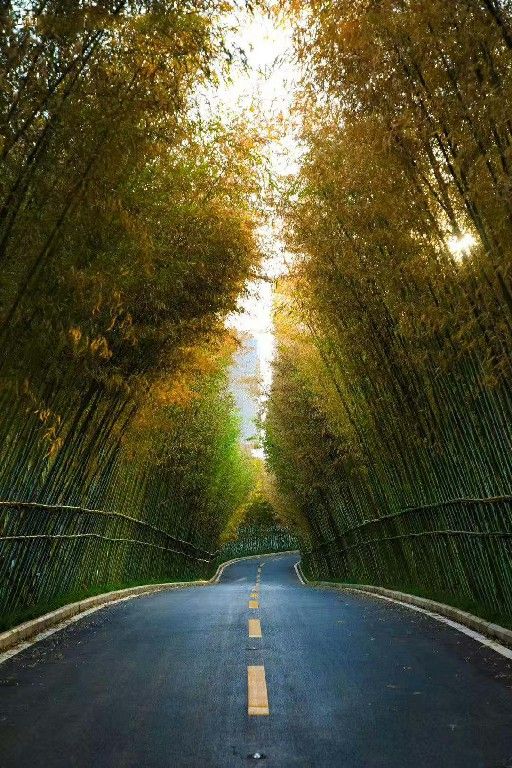 雅居乐 新希望 · 锦麟峯荟