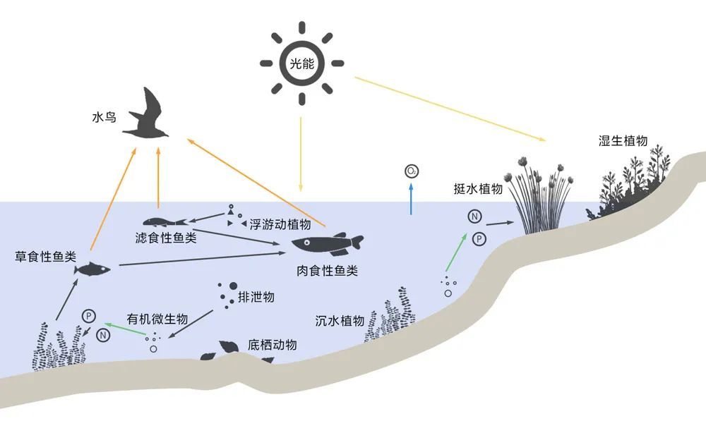 雅居乐滨河雅郡展示区