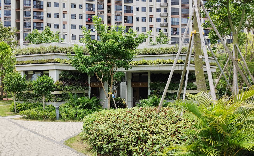 汕头市潮阳区东山公园更新设计