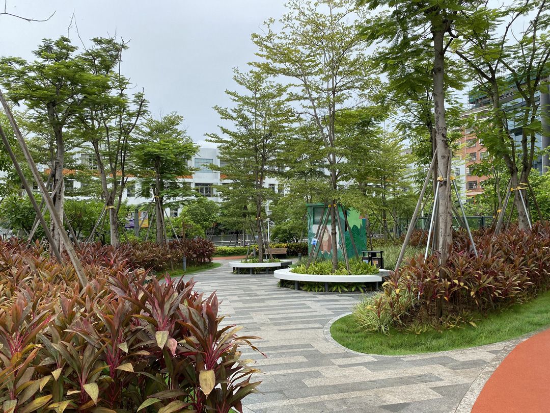 汕头市潮阳区东山公园更新设计