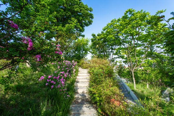 郎溪路高地游园修建性详细规划及景观设计