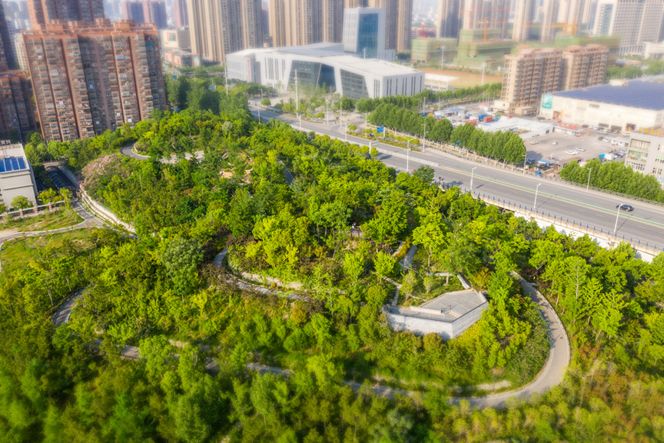 郎溪路高地游园修建性详细规划及景观设计
