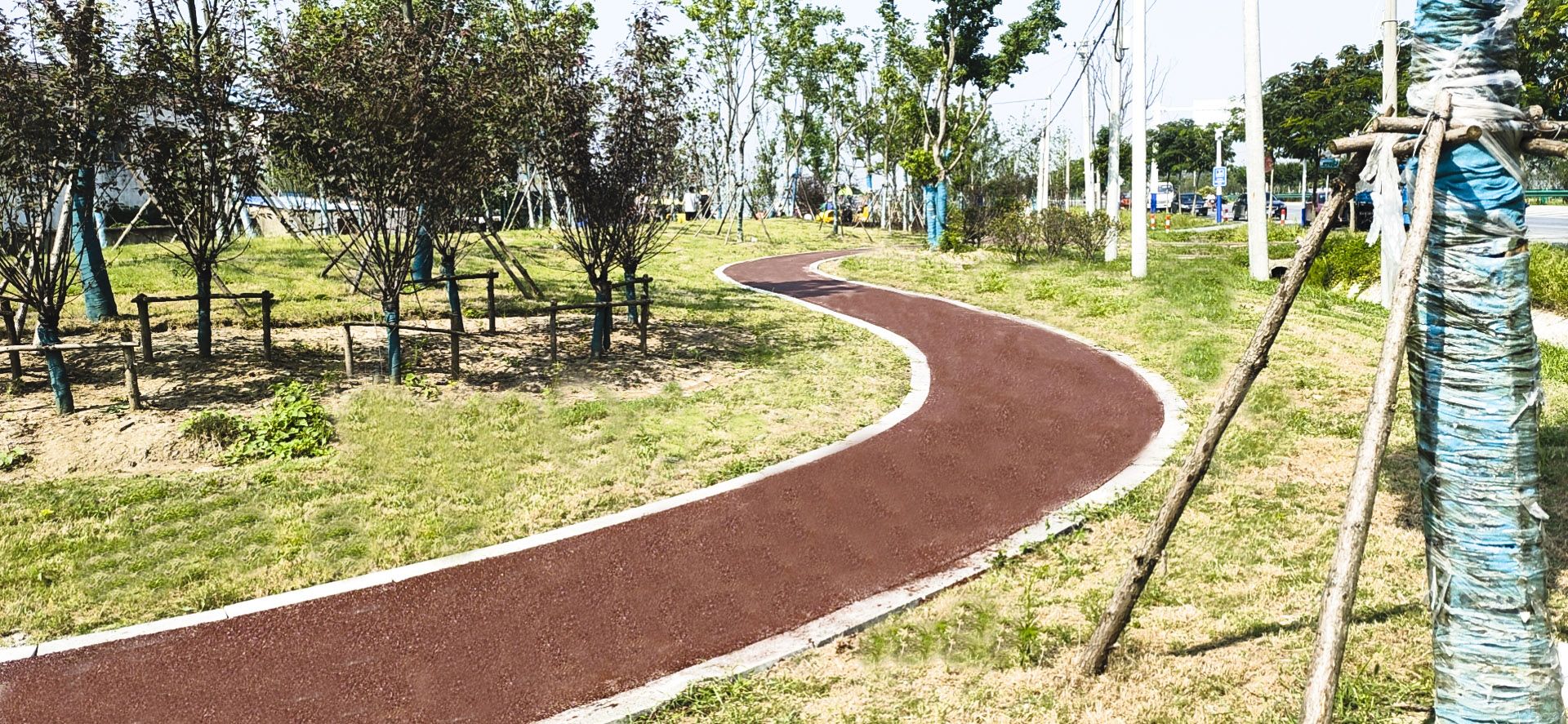 S311(沈桥—杨公路段）绿化项目