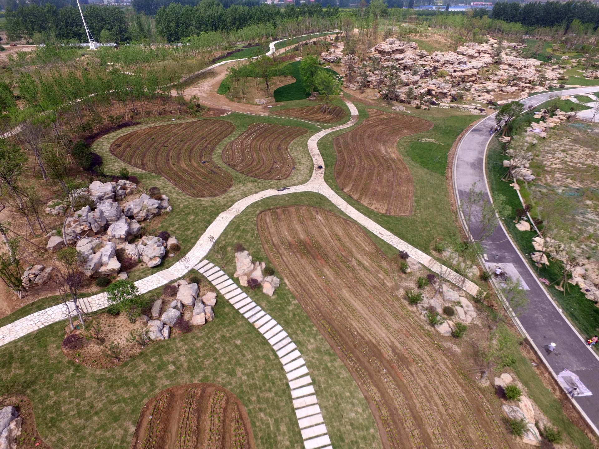 遂平县城区绿化工程总承包服务采购项目A包(玉湖区土方假山景石及文化景观提升)