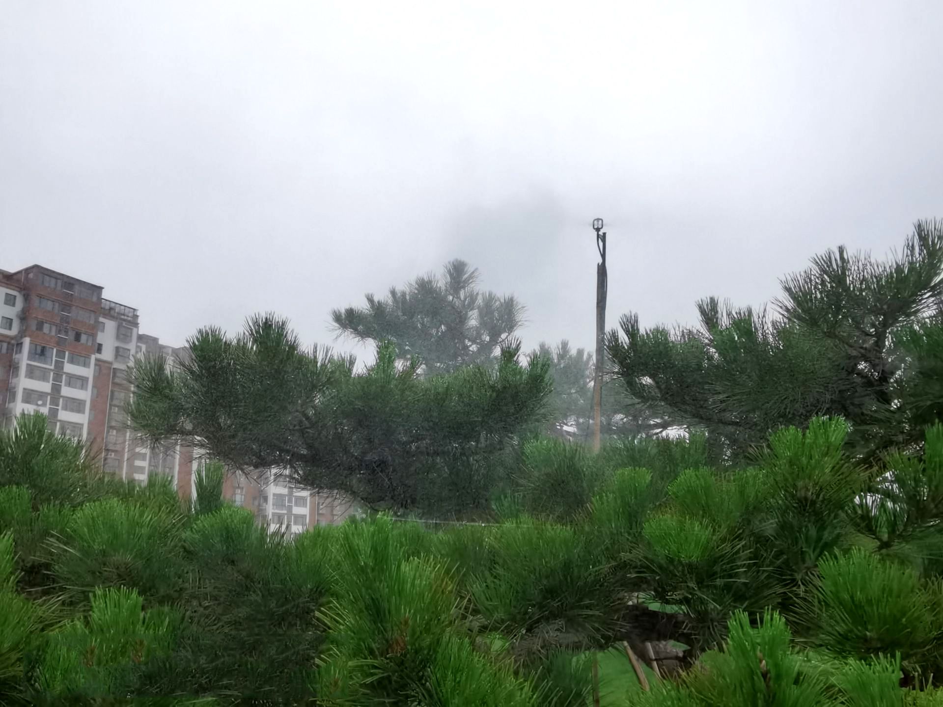 遂平县城区绿化工程总承包服务采购项目A包(玉湖区土方假山景石及文化景观提升)