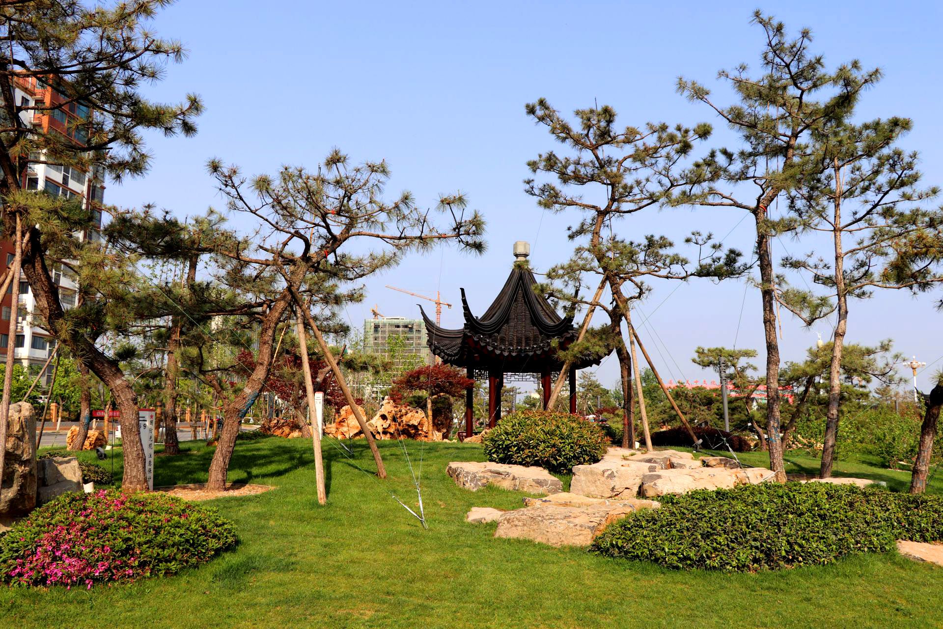遂平县城区绿化工程总承包服务采购项目A包(玉湖区土方假山景石及文化景观提升)