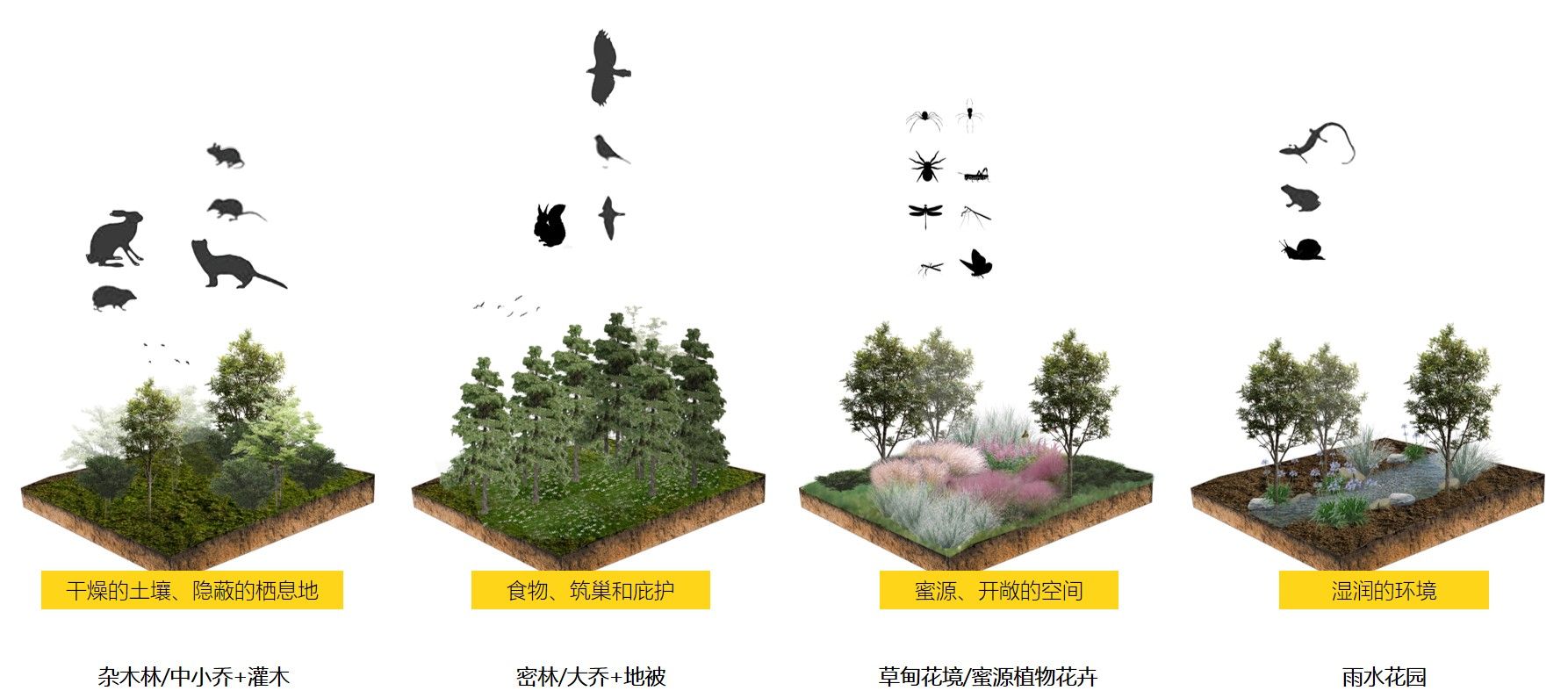 西川生态修复景观设计 郑州